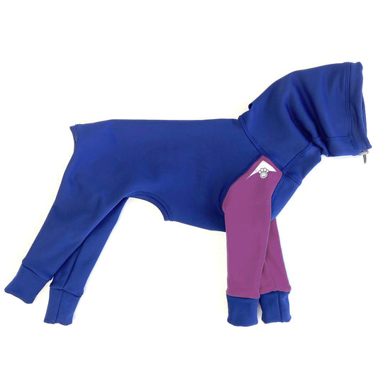 Z'Hoodie Active - Bleu royal et mauve